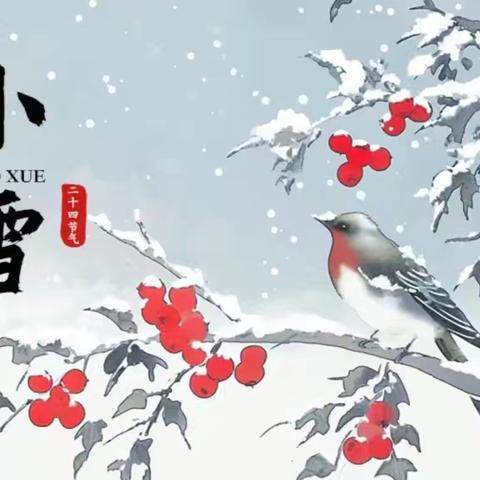 轻盈小雪至，小雪暖寒冬 ——大二班小雪节气活动