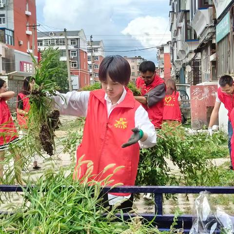 深入基层进社区 清除杂草美家园——燕北社区开展联建共建活动