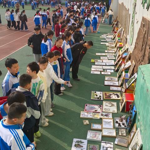 太行拾趣 艺润童心 ——富强小学第一届劳动艺术节初赛作品展