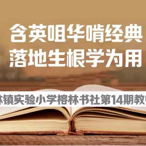 【榕林书社】含英咀华啃经典 落地生根学为用-翰林镇实验小学榕林书社第14期教师共读