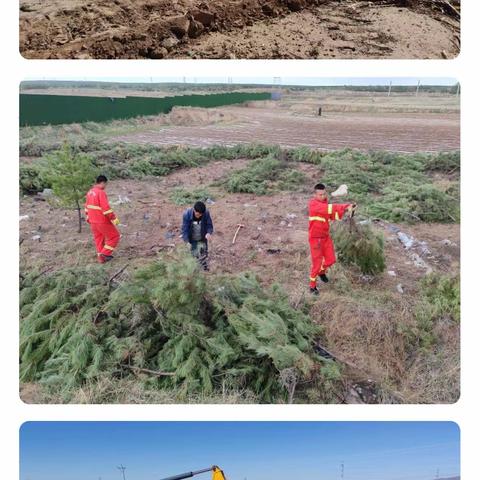 白登山街道5月19日工作动态