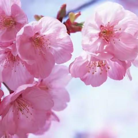 学必求其心得，业必贵其专精