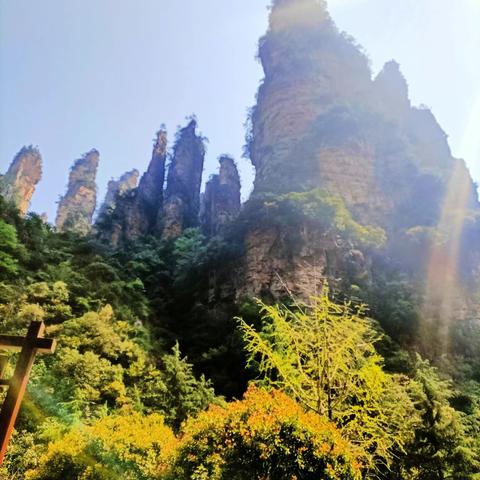 湖南行张家界之一