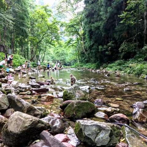 湖南行张家界之二