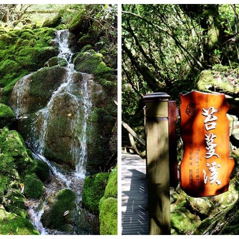 湖北神龙架---神农祭坛、天生桥