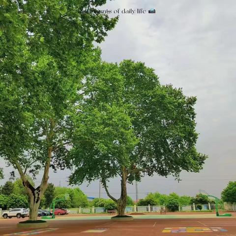 筑牢校园警戒线 远离毒品卫家园