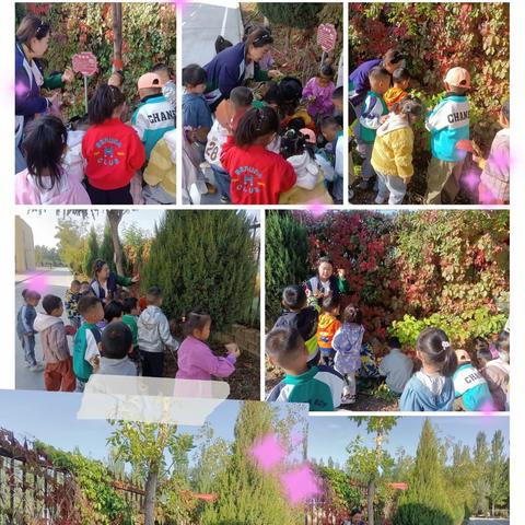 记录📝幼儿园美好时光🌹🌈——中宁县第三幼儿园中二班宝贝第八周精彩回忆❤️