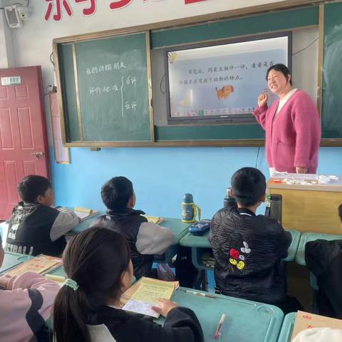 《我的动物朋友》评课记