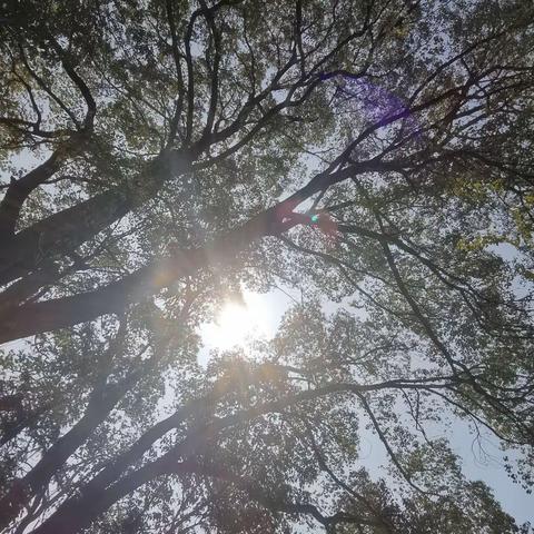 轻舟已过万重山