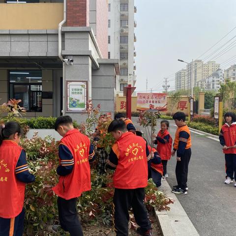 谯城区马元小学开展“处处有阵地，人人爱劳动”劳动教育活动