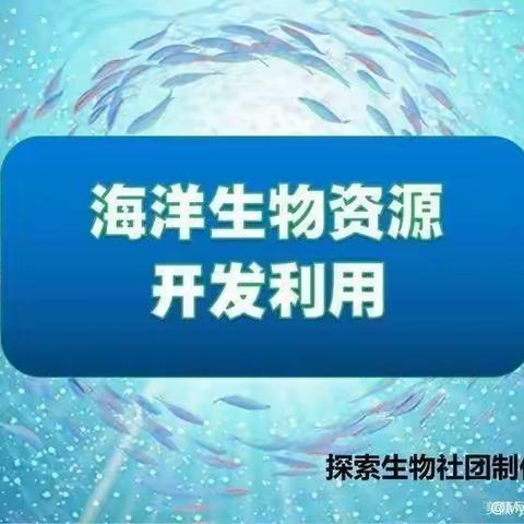 西大街小学生物社团