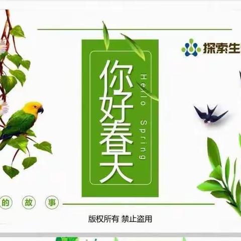 南漳涧小学探索生物社团