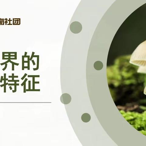 南漳涧小学探索生物社团