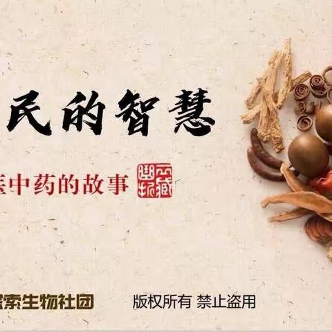 南漳涧小学探索生物社团