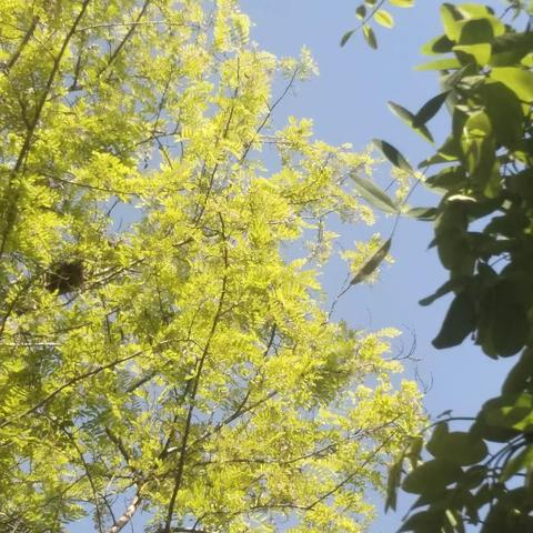 轻装策马青云路，人生从此驭长风