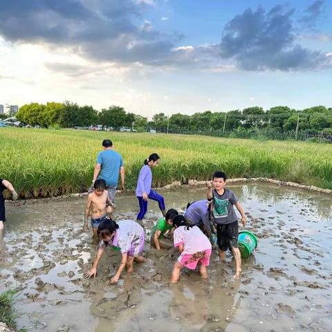 缤纷假日，快乐一“夏”——邾城六小一年级学生暑期生活精彩展示