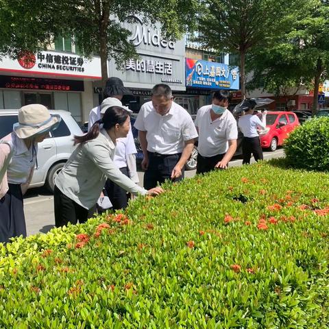 【琼海玉禾田】海口市秀英区园林管理局赴琼海市参观调研园林绿化工作