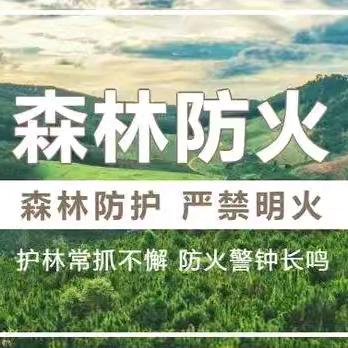 积极宣传防在前 努力工作敢担当——八角林务所七月工作动态