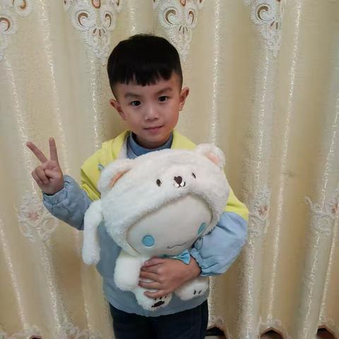 【班本课程】“布”期而遇——熨幼大二班