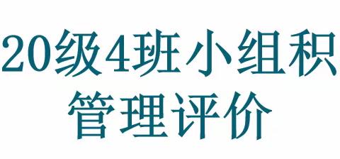 【滨城区梁才中心学校】2020级4班小组积分管理评价