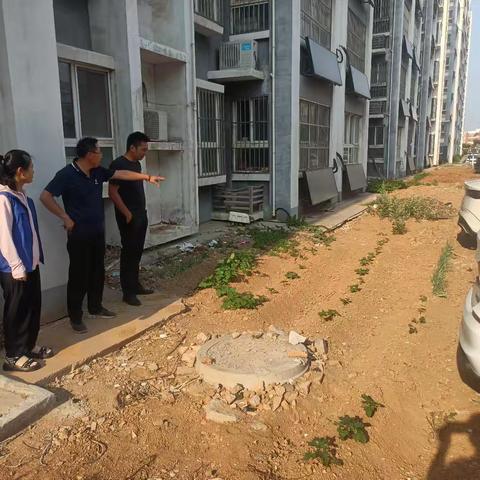 【重实践 促治理】清理“小菜园”美化“大家园”