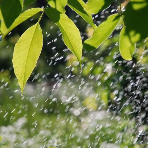 虹桥物业：下雨天温馨提示