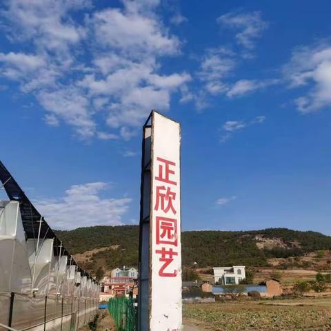 (2)昆明基地2024年2月优惠大酬宾活动，以下产品买5件送1件，欢迎下单，欢迎选购，微信电话同号1…