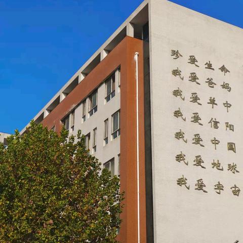 信阳市羊山中学2024-2025学年度上学期“珍惜粮食，光盘行动”主题升旗仪式