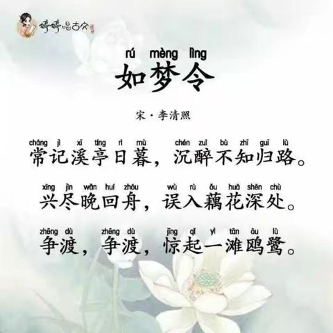 中一班本周所学