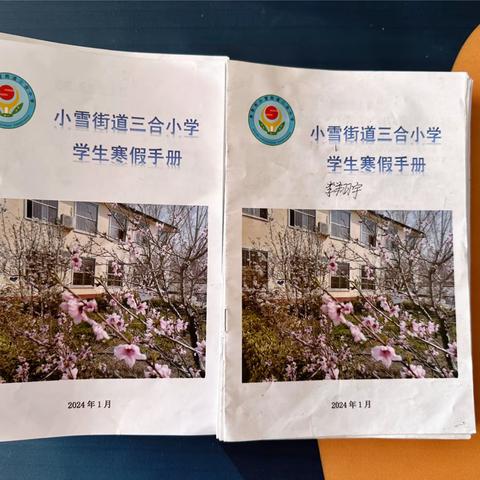 龙行龘龘，乐享成长——小雪街道三合小学创意“年味”作业