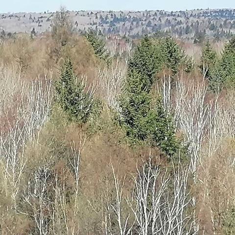 学练结合提升实战能力，织牢编密防火安全屏障