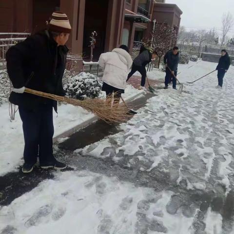 双山街道城乡公益岗助力各村社区除雪