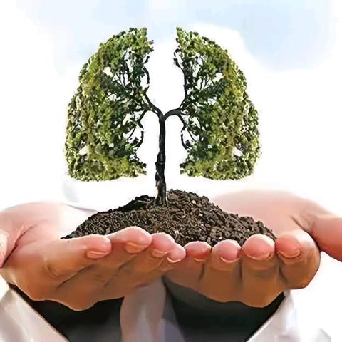 医心守护，共抗慢阻肺——大荔县朝邑中心卫生院在行动