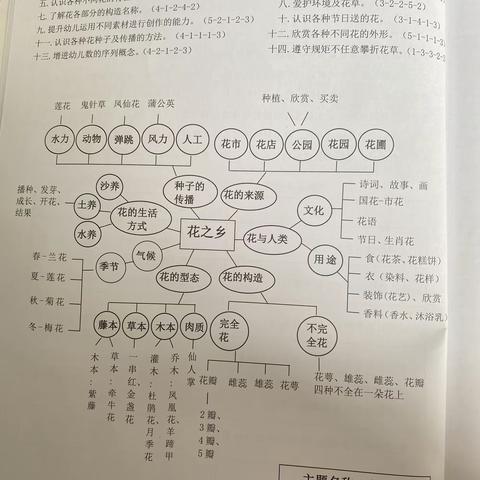 《花之乡》大一班主题课程精彩回顾