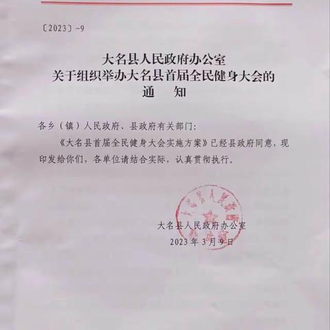 2023年大名县首届全民健身大会足球赛圆满落幕