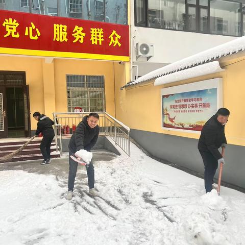 扫雪护行——雪枫街道张寨社区开展清雪行动