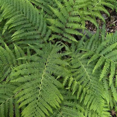 古文仿写——寓言故事——临汾黑马弘毅学校语文《一课一写，越写越爱》五年级学生习作分享88期——总第143期