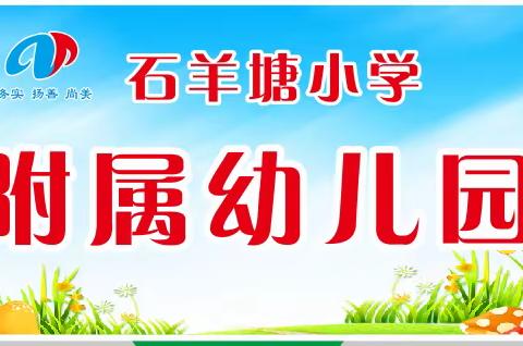 满载收获，砥砺前行—2023年骨干教师培训之园本培训