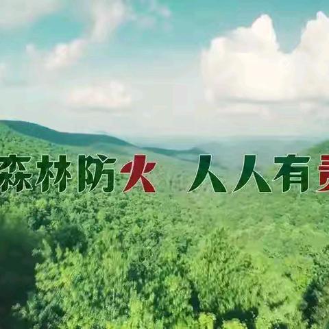 抢前抓早强化宣传 筑牢森林防火屏障