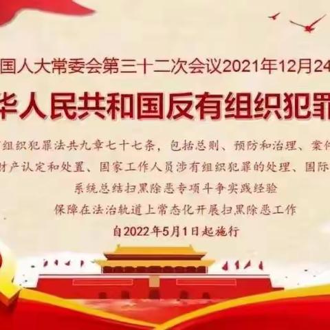 《反有组织犯罪法》普法宣传——老赵庄镇南丁小学