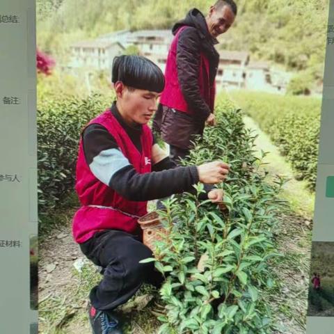 茶香人生，残疾人之家学员探秘茶园学习之旅