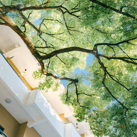 【西街街道火车站社区周动态·第7期】记录社区这一周的精彩瞬间