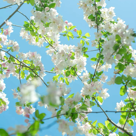 【西街街道火车站社区周动态·第13期】社区一周时光机