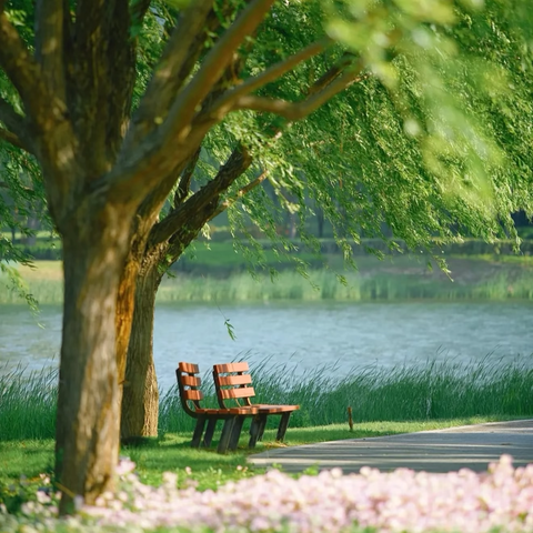 【西街街道火车站社区周动态•第18期】守护绿色家园 共建美好长治