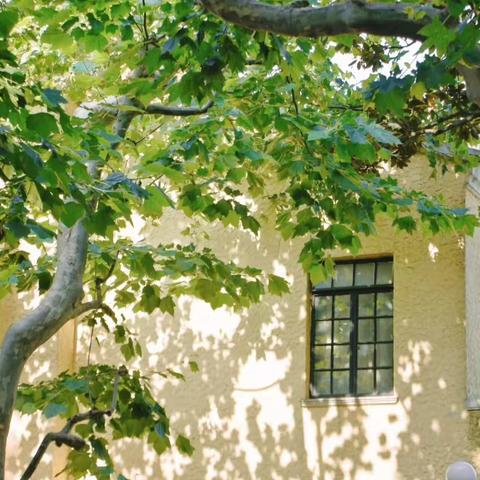 【西街街道火车站社区周动态•第24期】“网”住大小事，服务“格”外亲