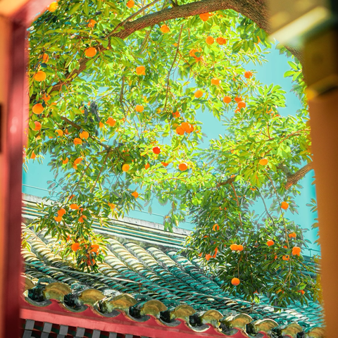 【西街街道火车站社区周动态•第42期】凝心聚力谋发展，共筑社区新篇章