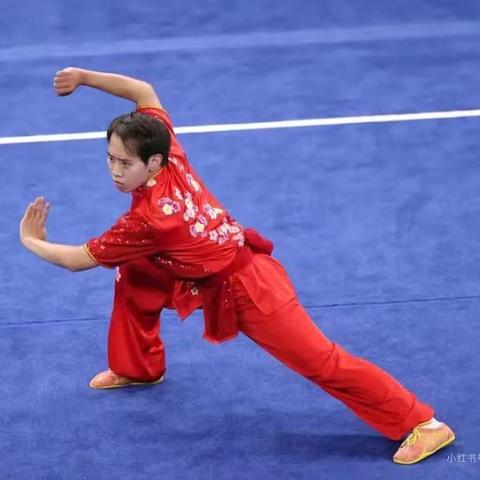 【中华武术情】——白银区十字街幼儿园苗苗二班班本课程分享