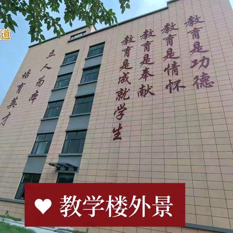 人本之道学能教育