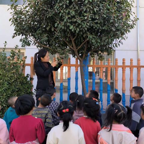 春日正当时，绿意更盎然——路井镇幼儿园中一班三月份精彩瞬间