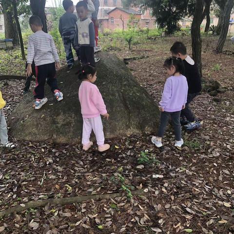 大富童馨幼儿园小班4月美篇